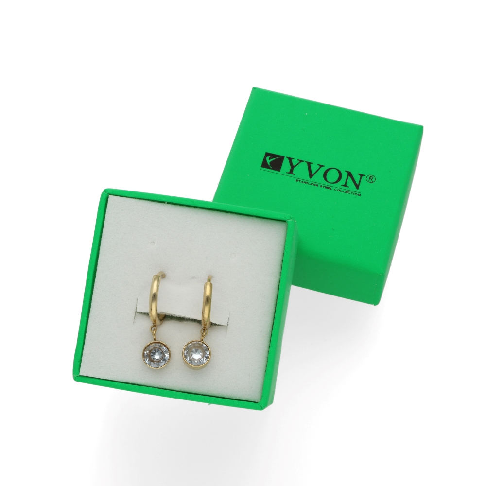 Pozlacené náušnice z nerezové oceli E99938s 